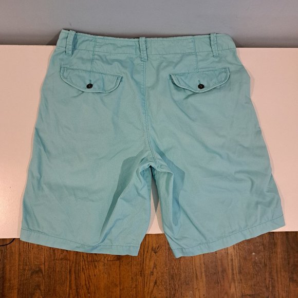 GAP Men's 33x10 Flat Front Sun Faded Bedford Shorts - Picture 10 of 16